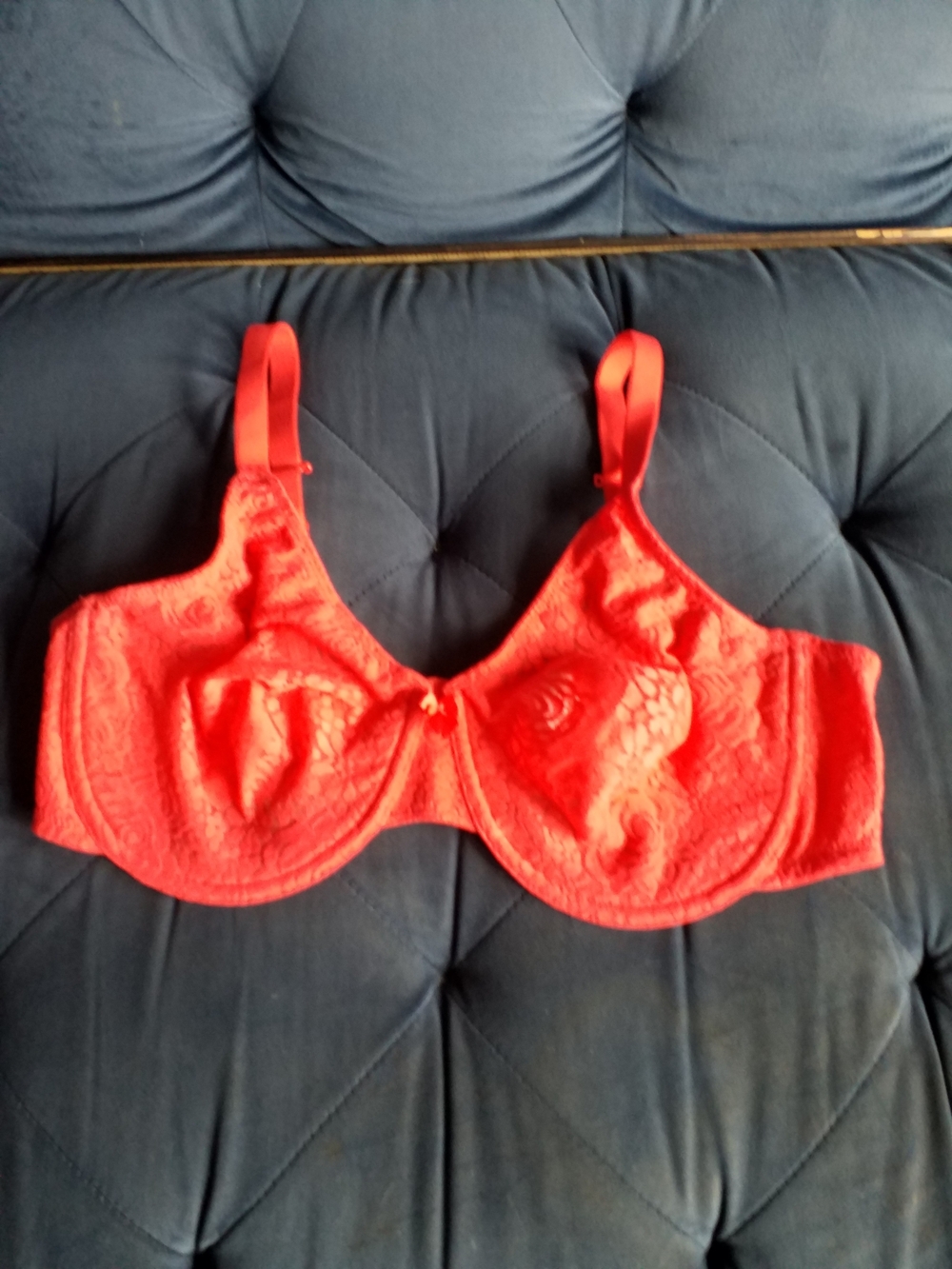 Wacoal Red Lace Underwire Bra with Floral Embroidery